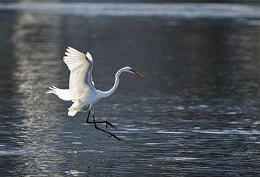 從30人到夫妻精品店， 我的亞馬遜經(jīng)歷了什么？